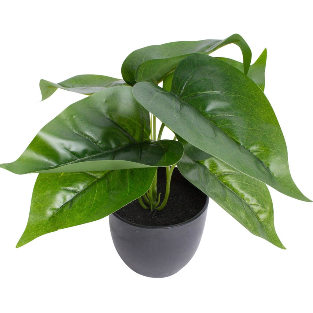 Botanic-Haus Künstliche Zimmerpflanze »Philodendron«