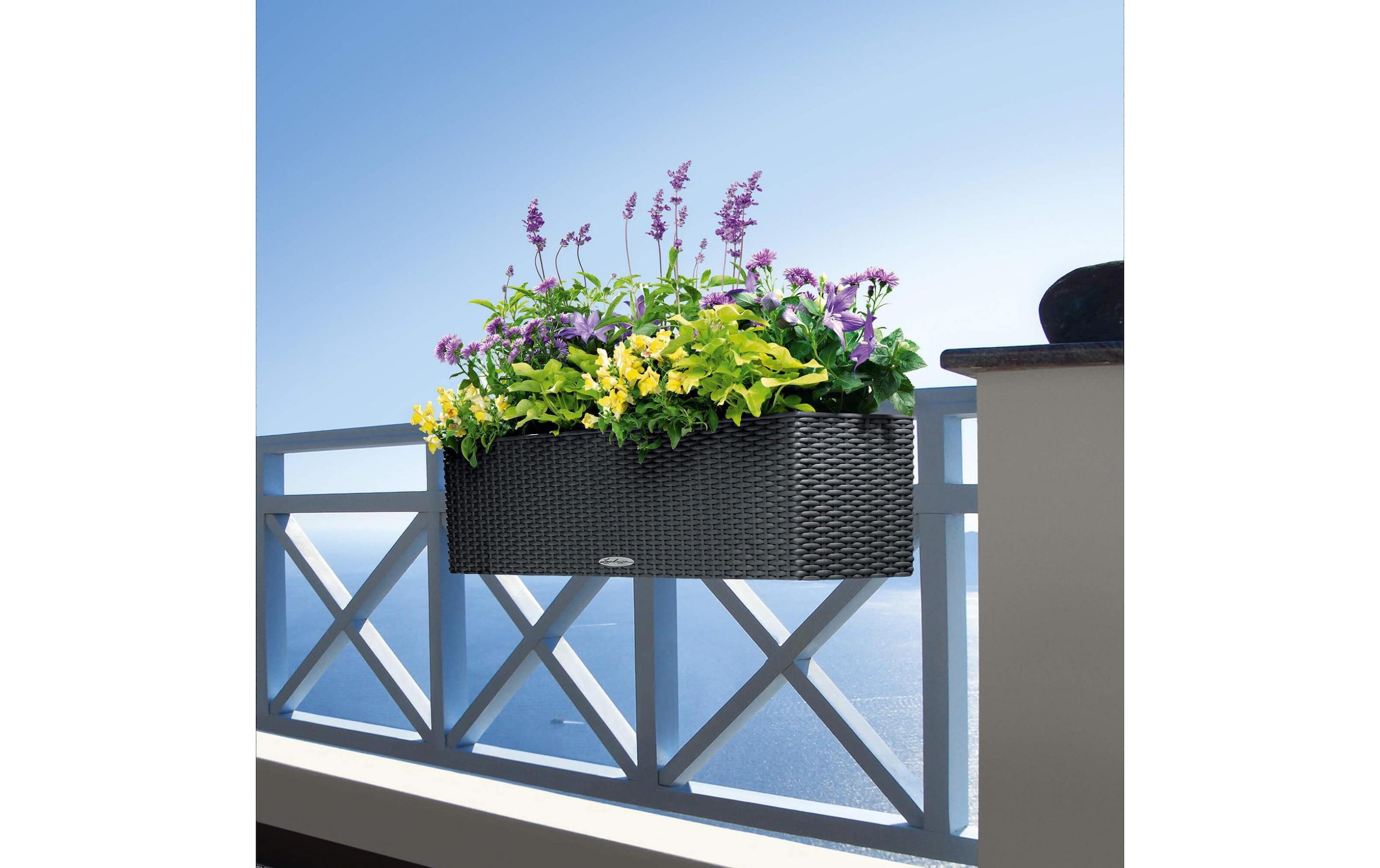   Blumentopf »Lechuza Balconera Cottage 80 Anthrazit«