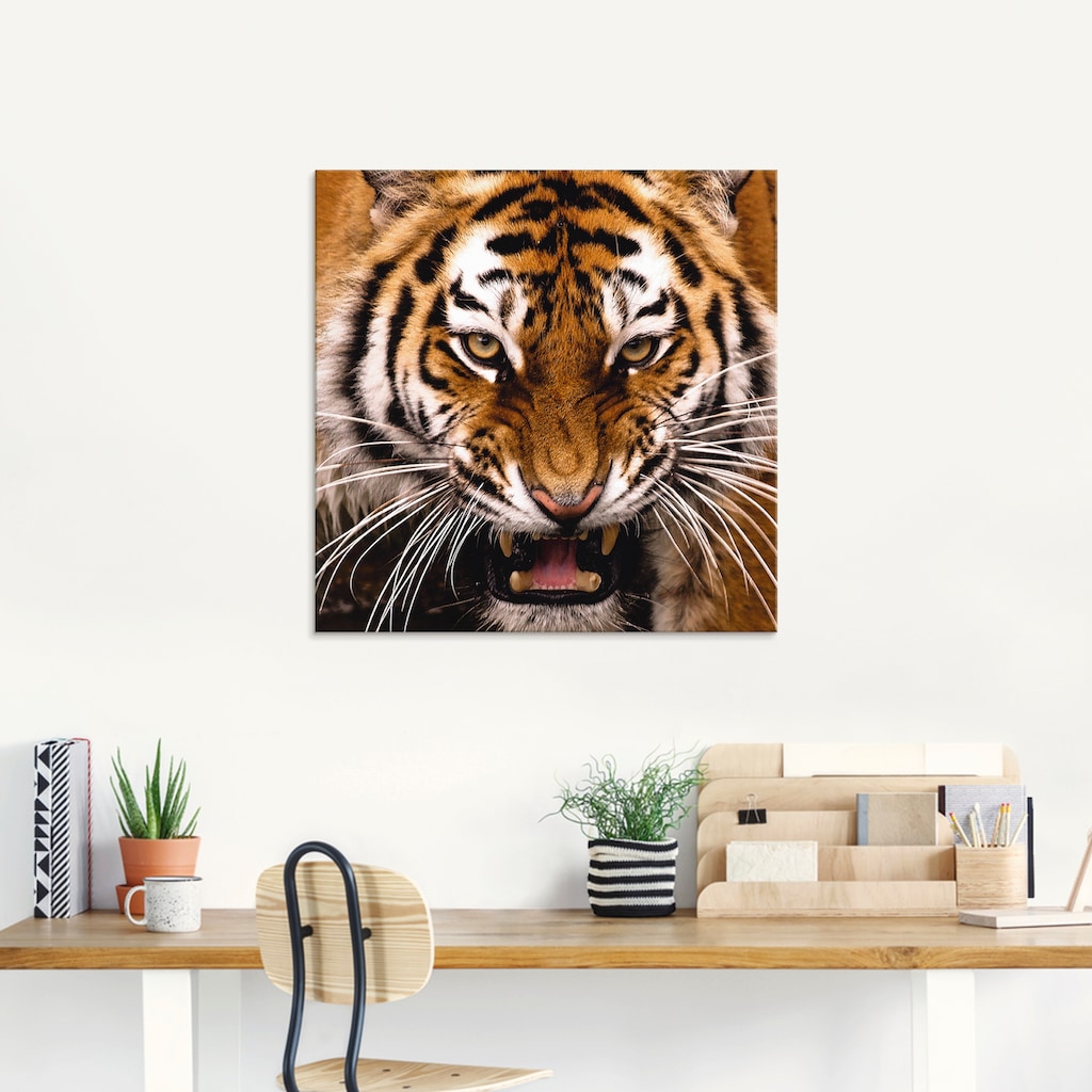 Artland Glasbild »Tiger Kopf«, Wildtiere, (1 St.)