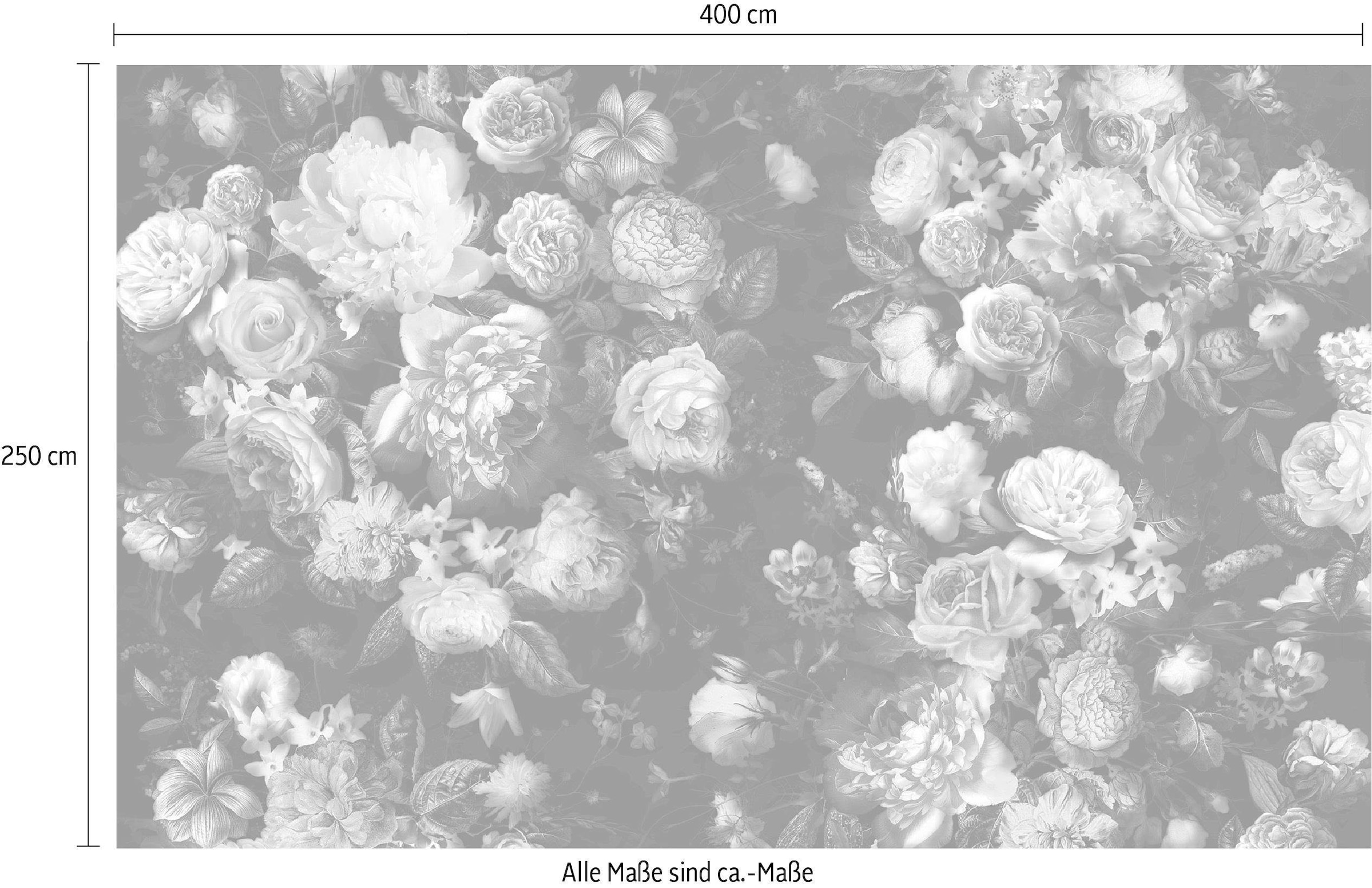 Komar Vliestapete »Digitaldruck Vlies -  Victoria Black - Grösse 400 x 250 cm« bedruckt glatt Wohnzimmer, Schlafzimmer