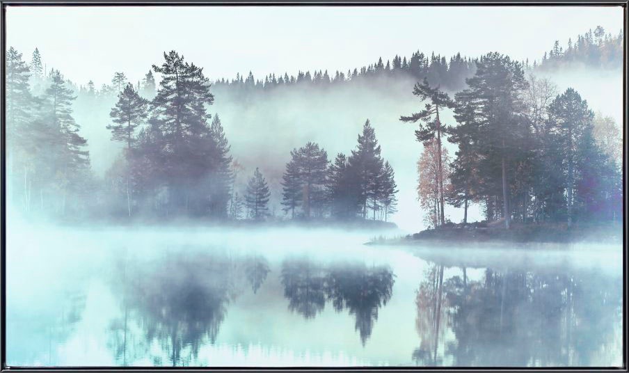 Image of Reinders! Leinwandbild »Meer im Wald Im Nebel - Leinwandbild« bei Ackermann Versand Schweiz