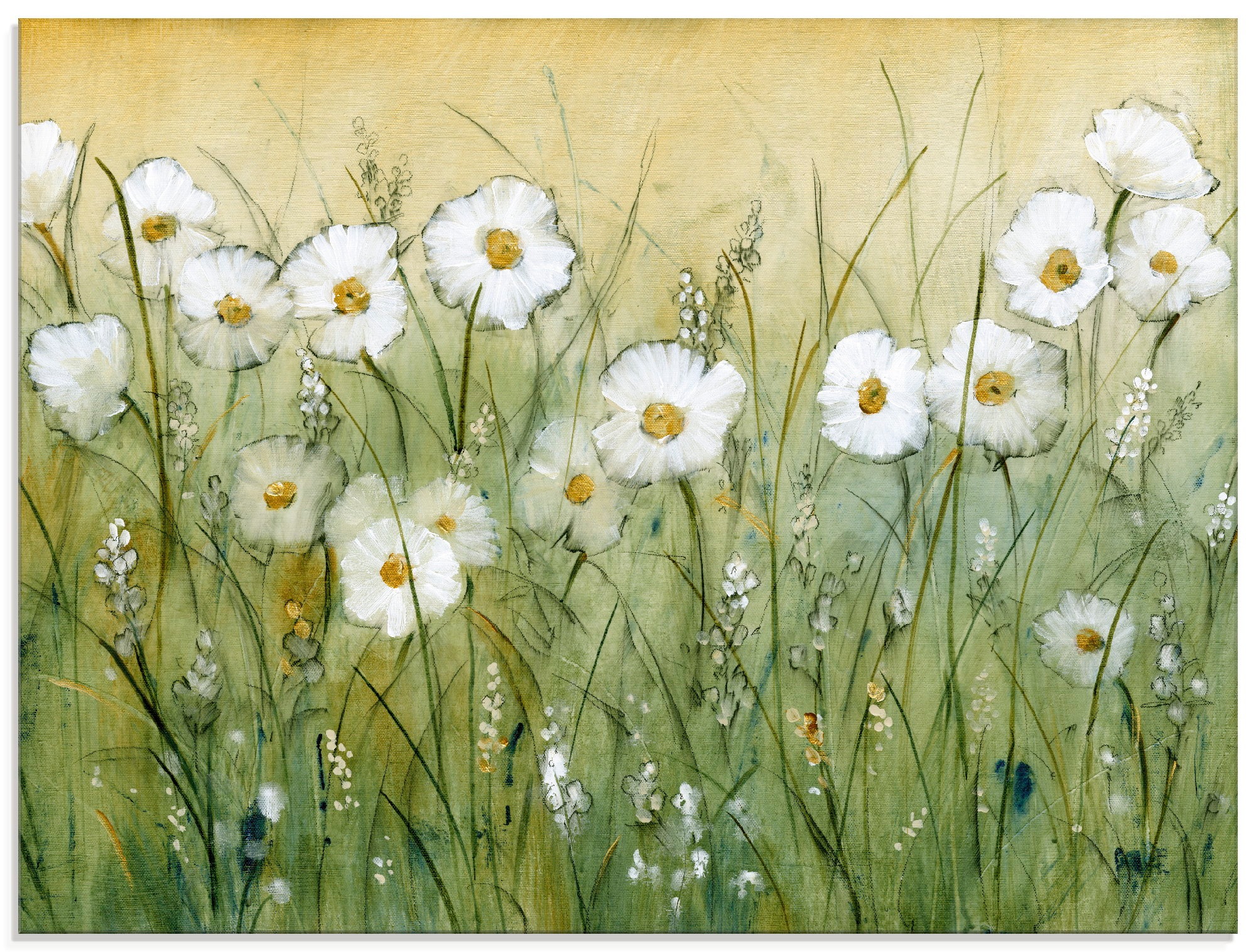 Image of Artland Glasbild »Gänseblümchenfrühling II«, Blumen, (1 St.) bei Ackermann Versand Schweiz