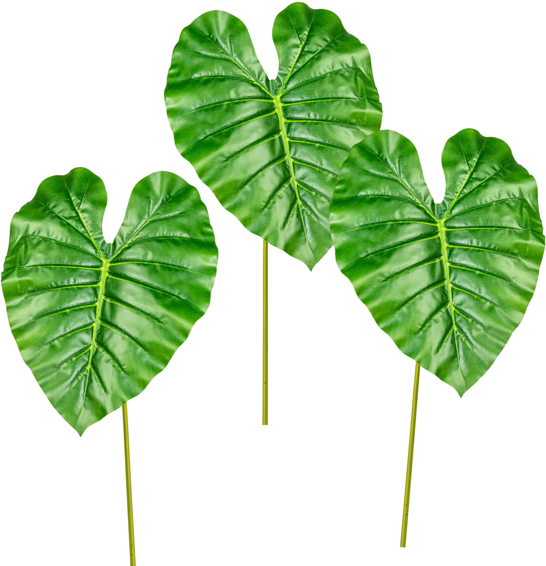Image of Creativ green Kunstzweig »Anthurienblatt«, (3 St.), 3er Set bei Ackermann Versand Schweiz