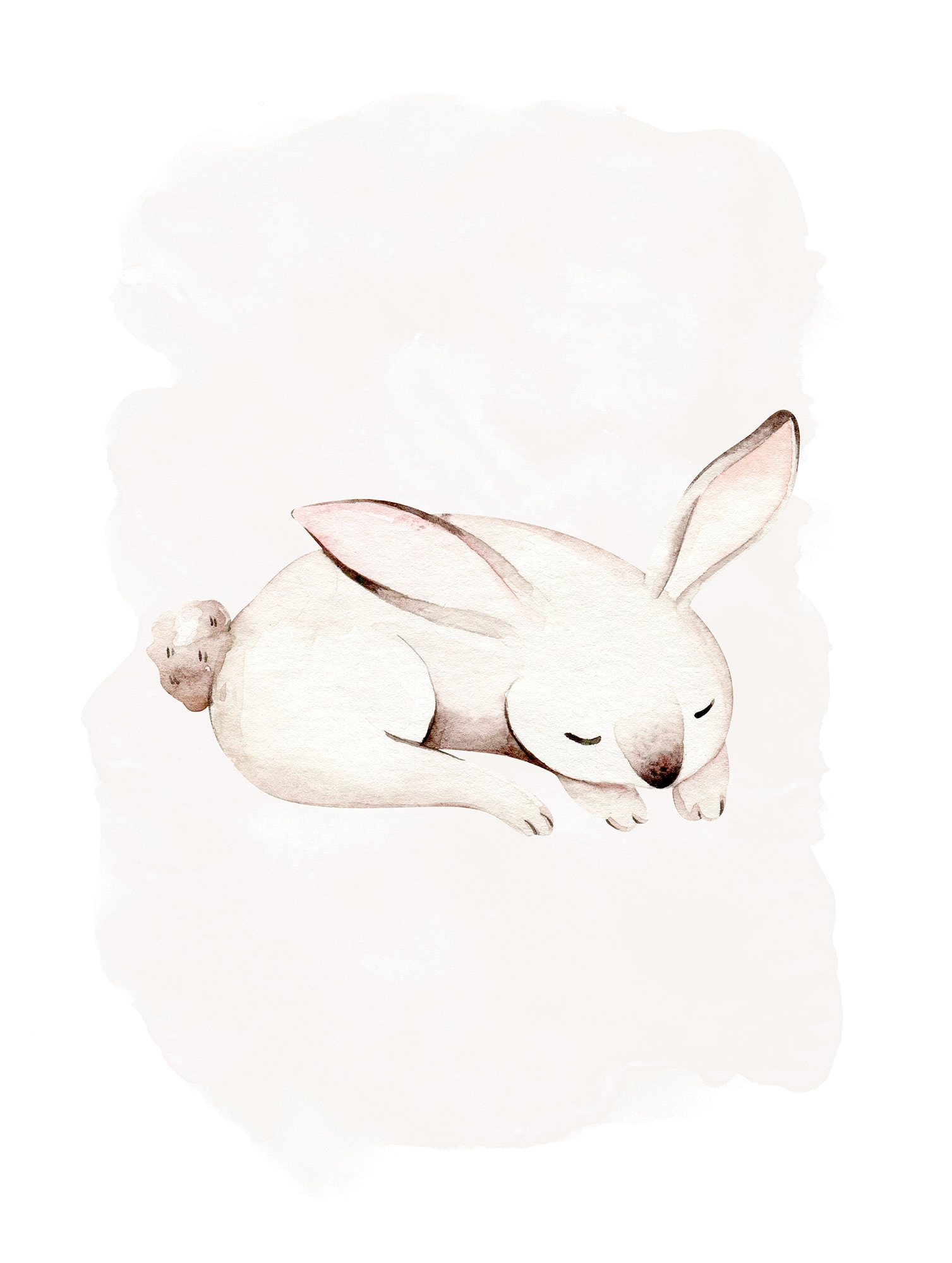 Image of Komar Bild "Sleepy Bunny" Natur 1 Stk. tlg. Wandbild zur Dekoration - ohne Rahmen
