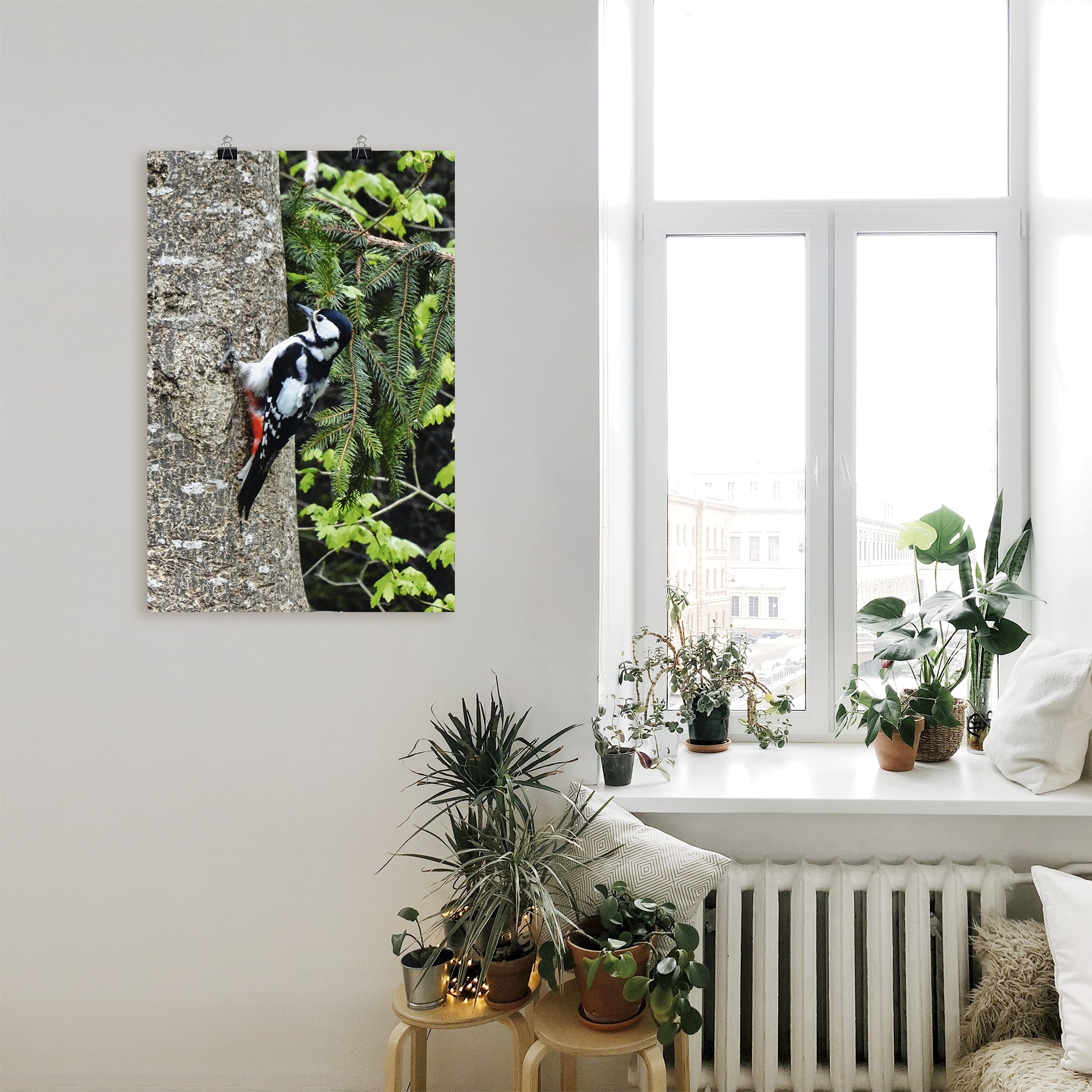 Artland »Buntspecht im Wald« 1 cuis tlg. ohne Rahmen