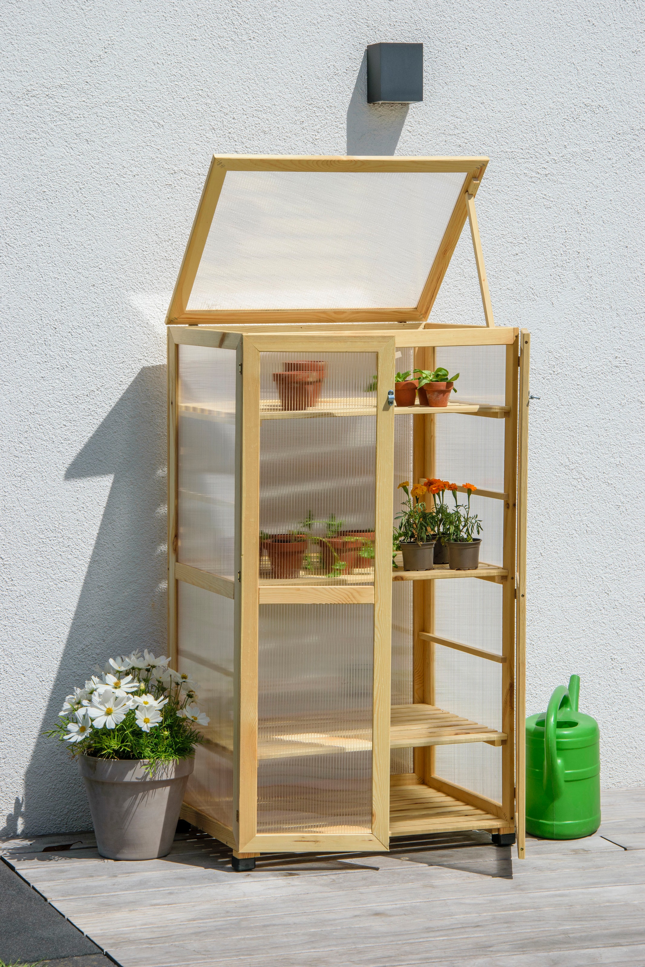 dobar Anzuchttopf »Dome«, grosser Anzuchtschrank aus FSC®-zertifiziertem Kiefernholz