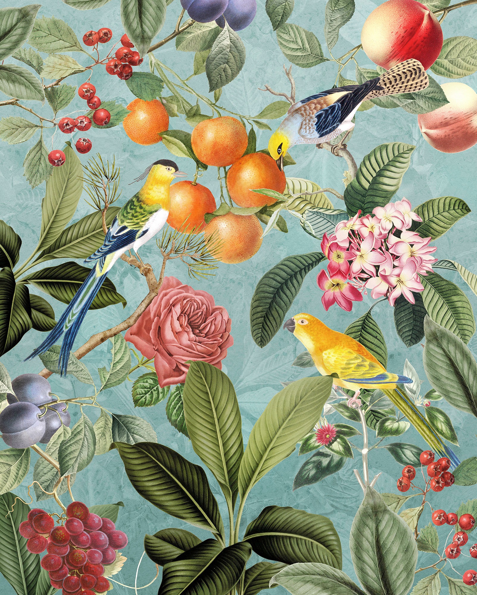 Image of Komar Fototapete »Birds and Berries«, botanisch-tropisch-Motiv, BxL: 200x250 cm, 150 g/m², Bahnbreite 50 cm, ausgezeichnet lichtbeständig bei Ackermann Versand Schweiz