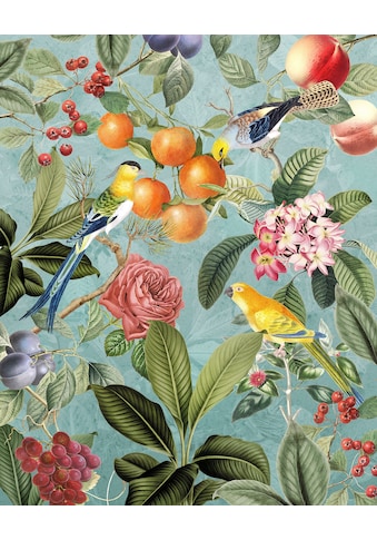 Komar Fototapete »Birds and Berries«, botanisch-tropisch-Motiv, bedruckt, botanisch,... kaufen