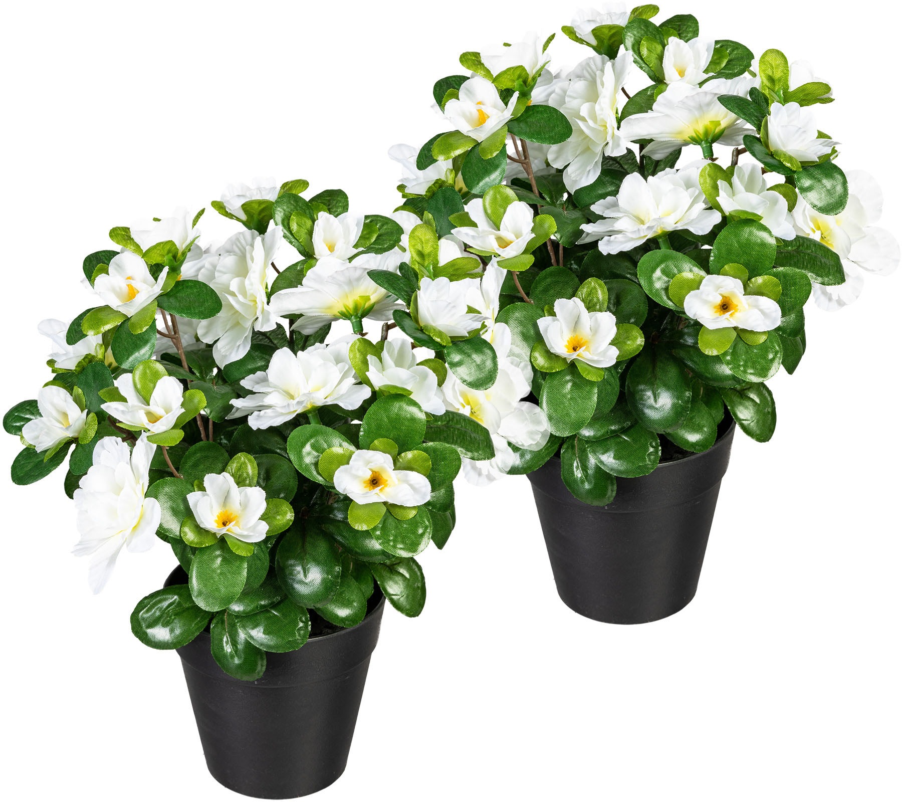 Image of my home Kunstpflanze »Annelie«, (2 St.), im Topf, 2er Set bei Ackermann Versand Schweiz