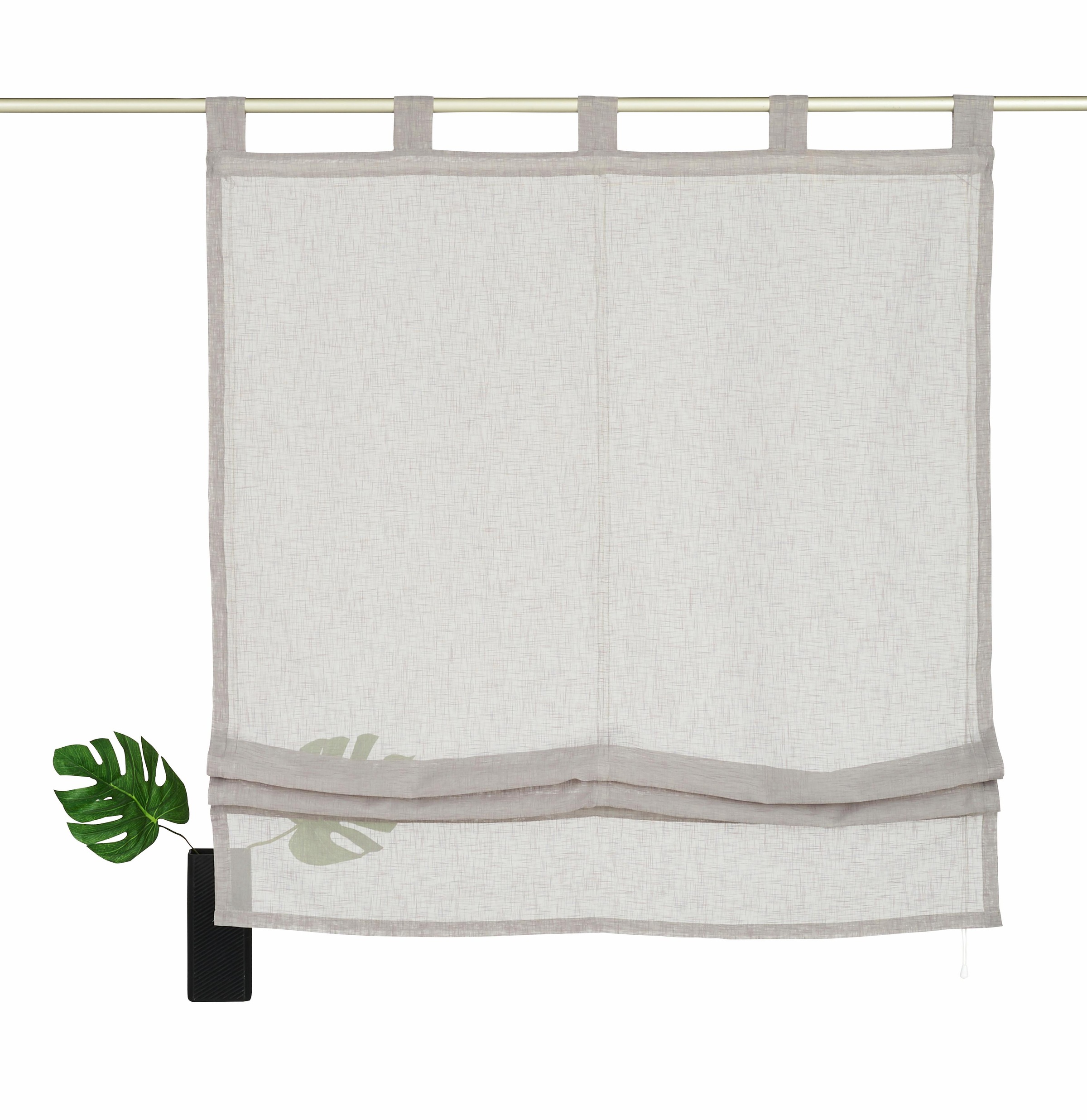 Image of my home Raffrollo »Regina«, mit Schlaufen, Transparent, Voile, Polyester bei Ackermann Versand Schweiz