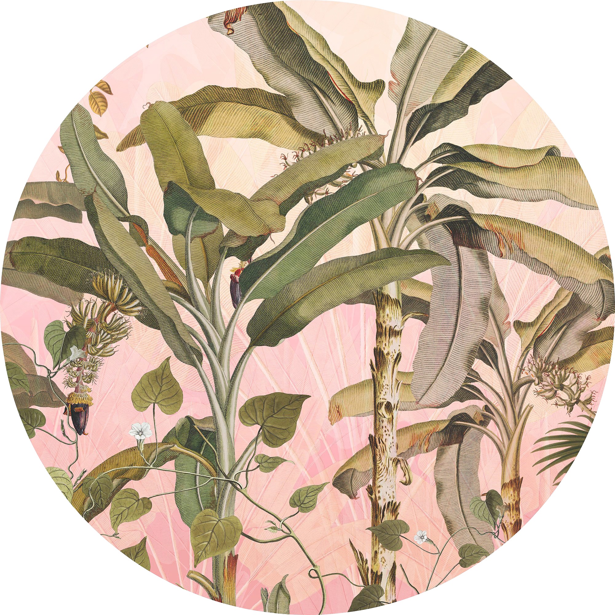 Image of Komar Vliestapete »Botany«, abstrakt-botanisch bei Ackermann Versand Schweiz