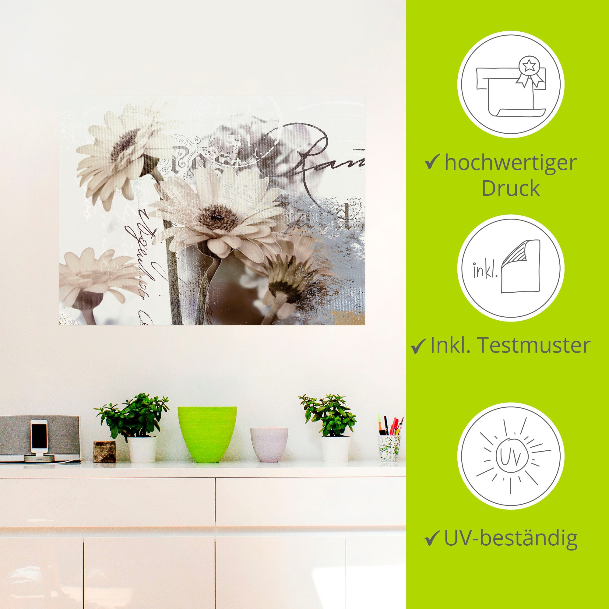 Artland Wandbild »Gerberas_Detail«, Blumenbilder, (1 St.), als Leinwandbild, Poster, Wandaufkleber in verschied. Grössen