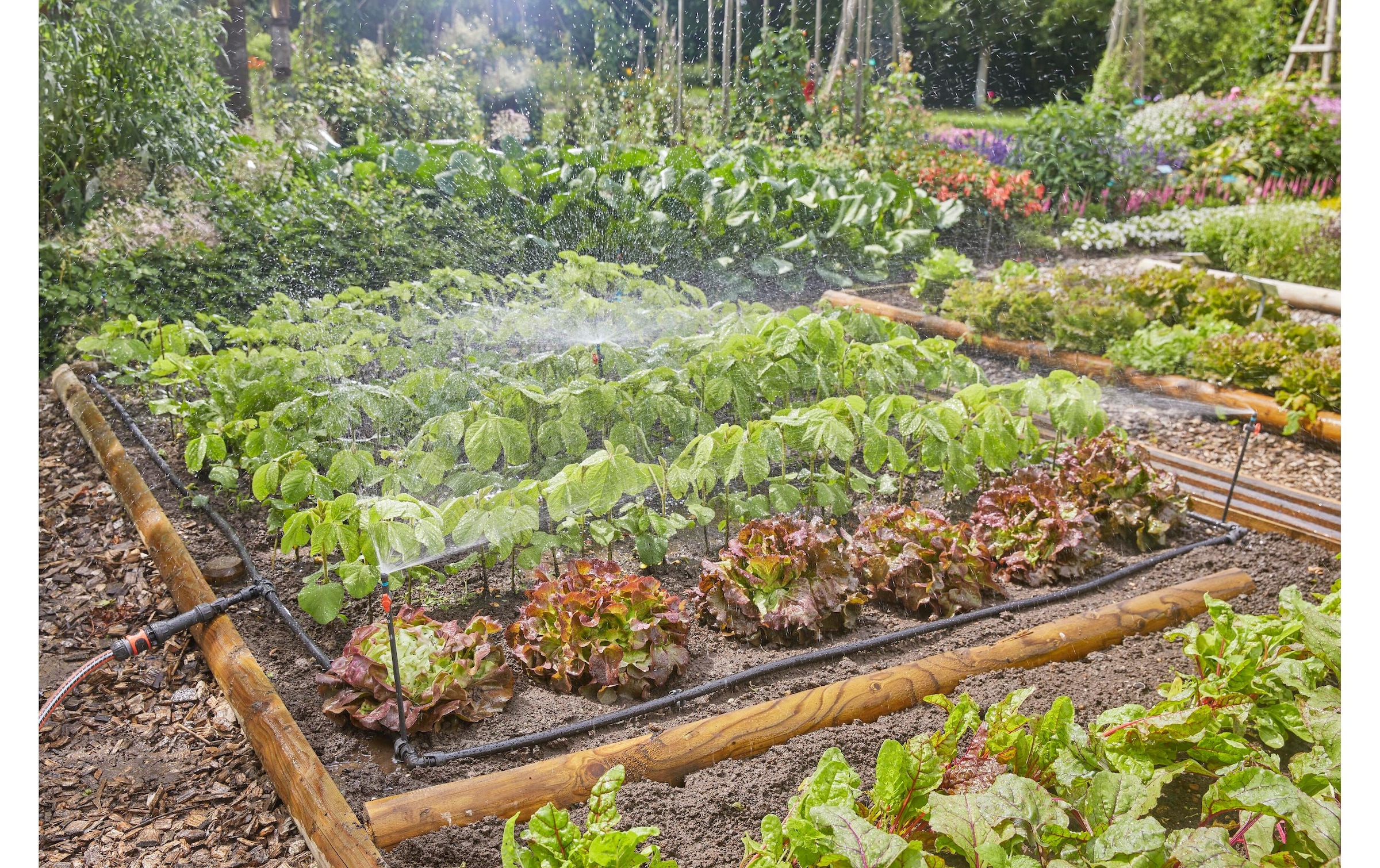 GARDENA Bewässerungssystem »Tropfbewässerung«