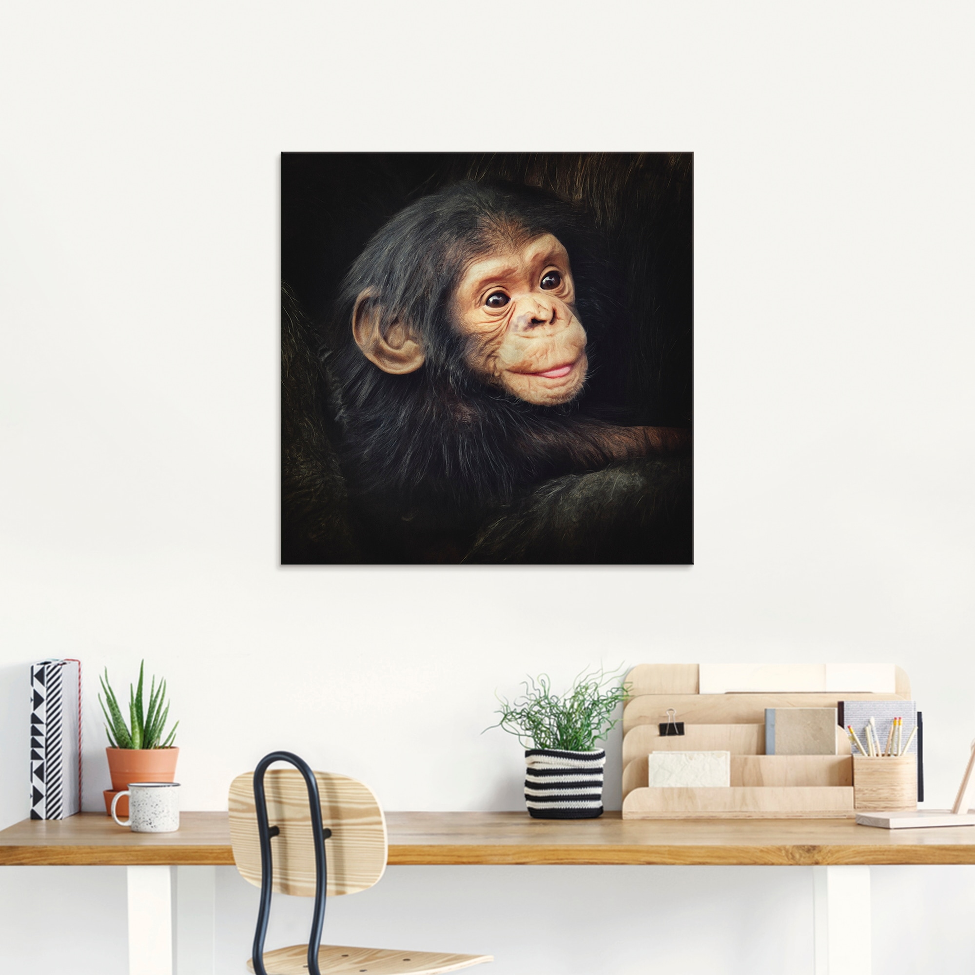 Artland Glasbild »Kleiner Schimpanse«, Wildtiere, (1 St.), in verschiedenen Grössen