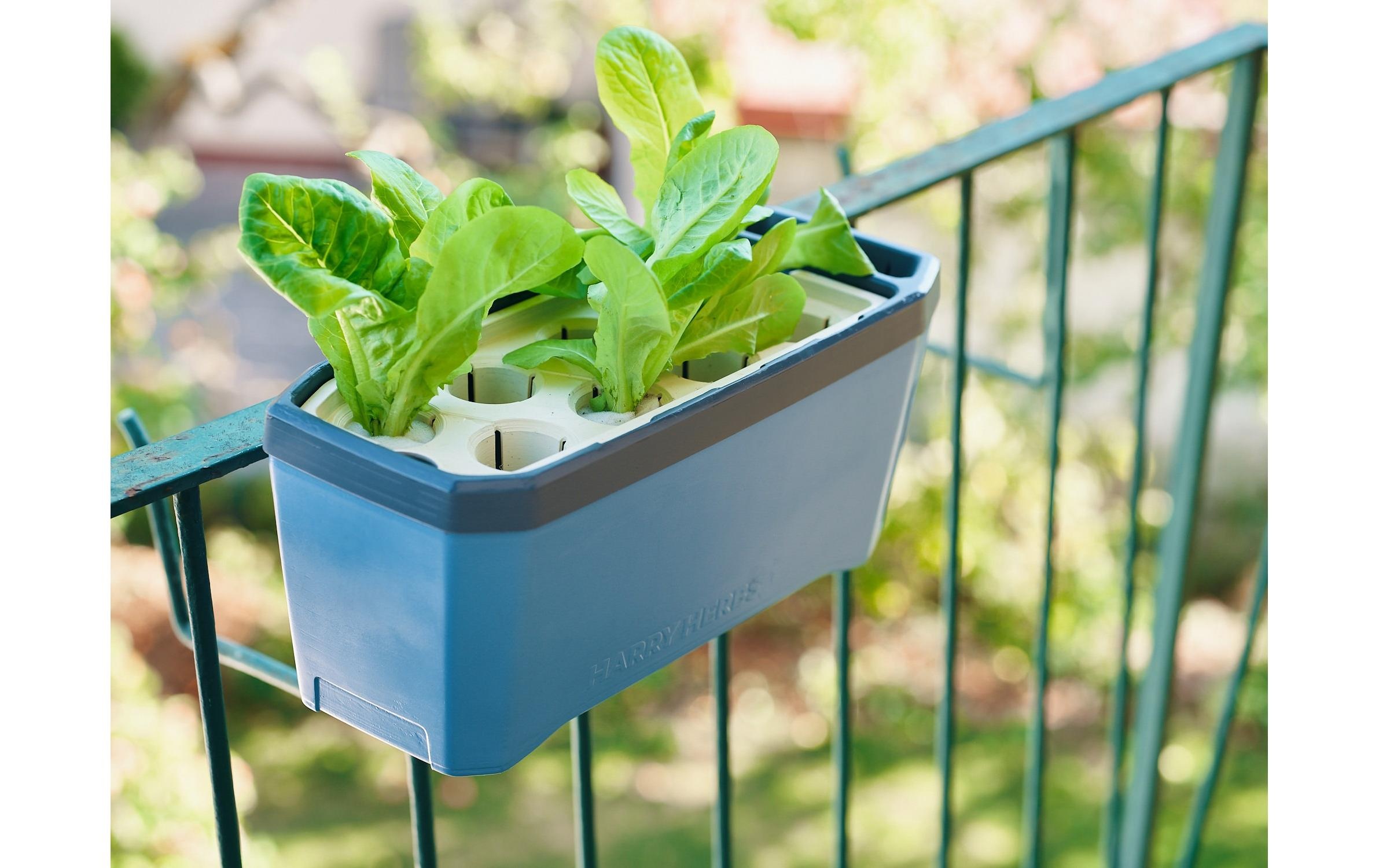 Gusta Garden Blumenkastenhalter »HARRY«