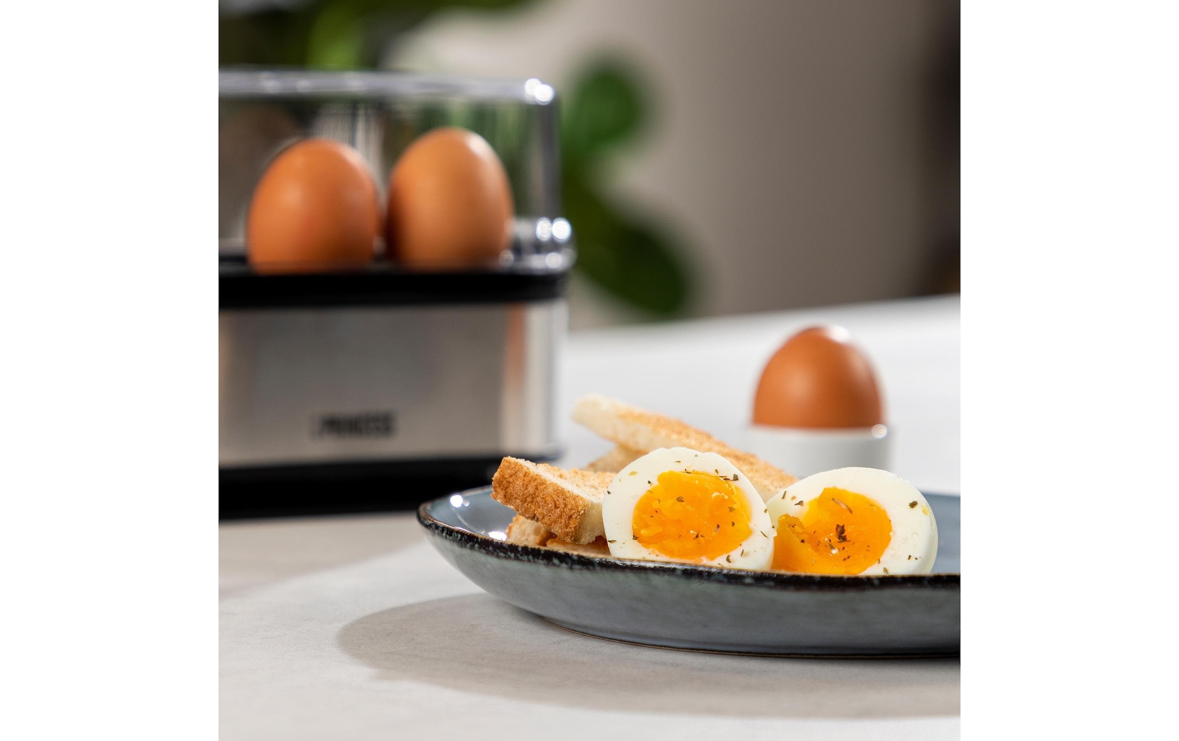 PRINCESS Eierkocher »262046 6 Eier« für 6 Stk. Eier 400 W