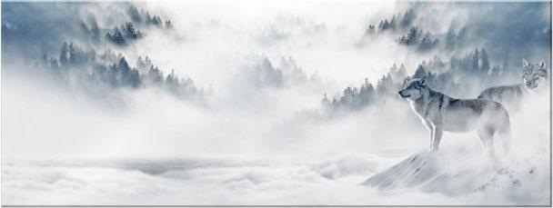 Image of Wall-Art Acrylglasbild »Wölfe im Schnee - Panorama«, in 2 Grössen bei Ackermann Versand Schweiz