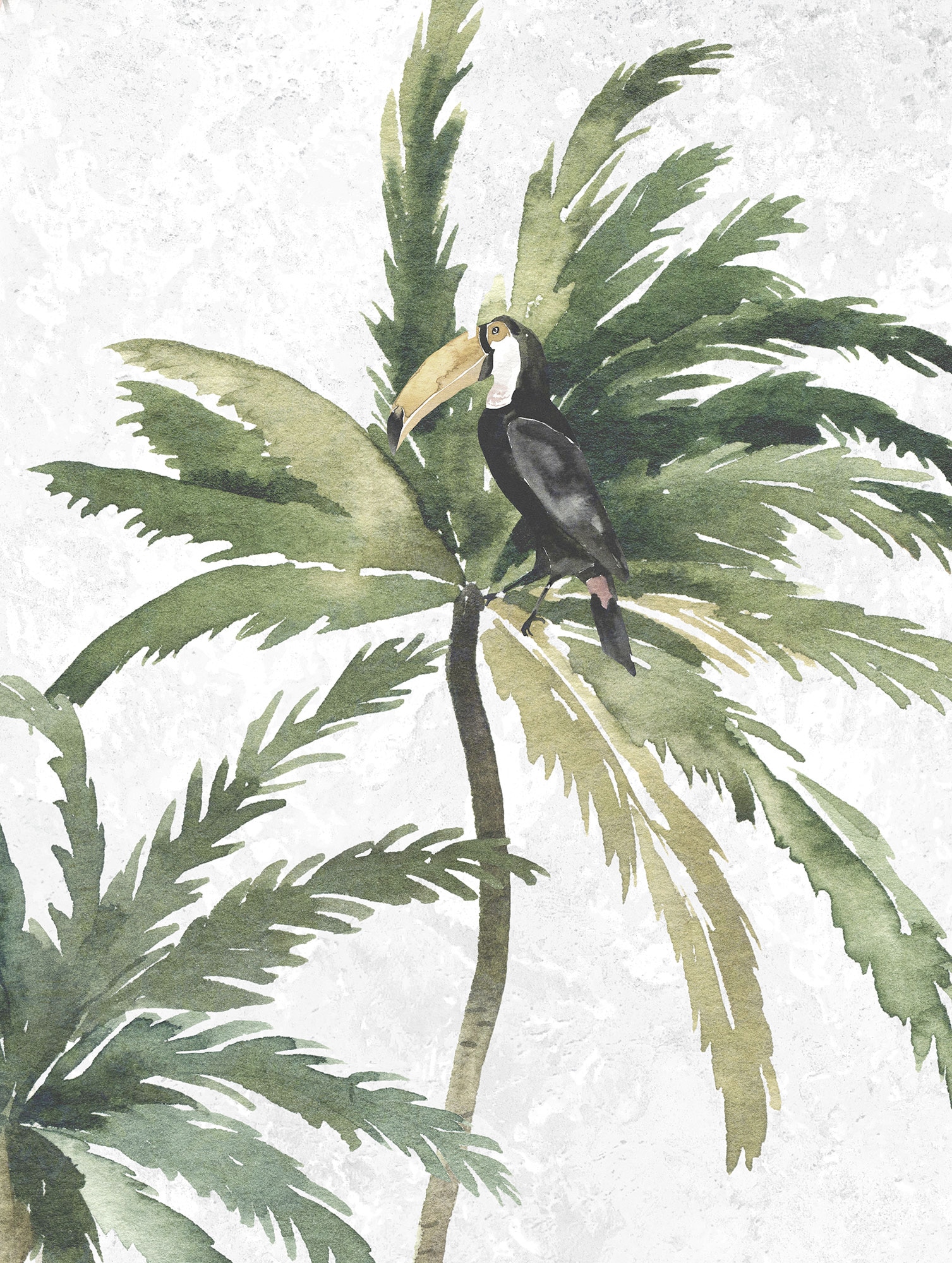 Image of Komar Bild "Tropical Toucan" Natur 1 Stk. tlg. Wandbild zur Dekoration - ohne Rahmen