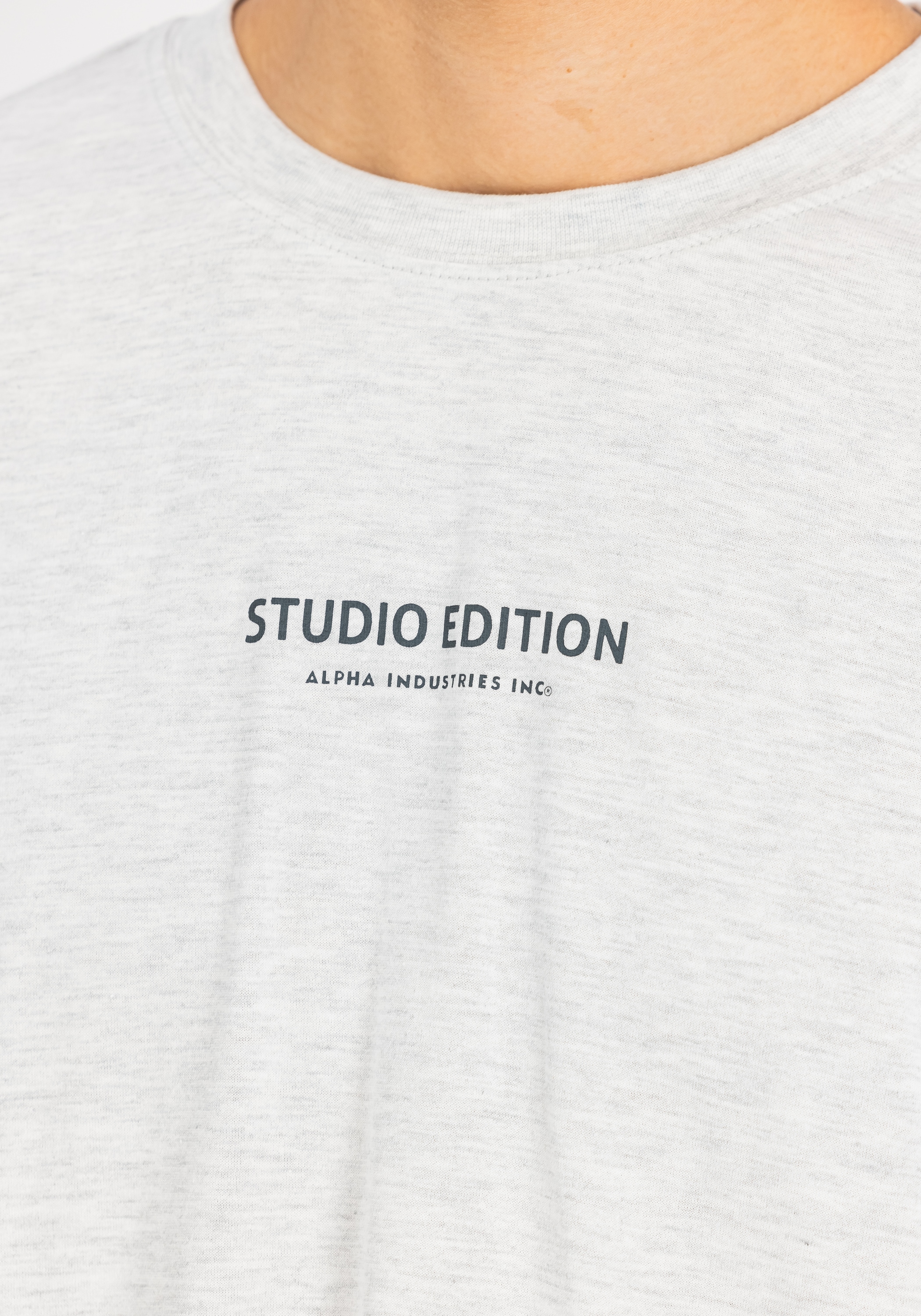 Alpha Industries T-Shirt »Studio Edition Backprint T-Shirt«