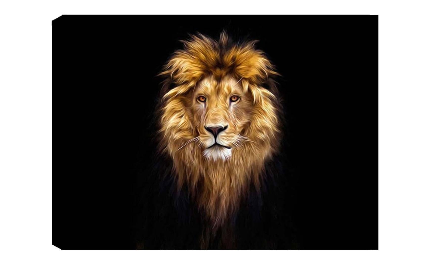 Image of Wandbild "Wallxpert Lion" Löwe