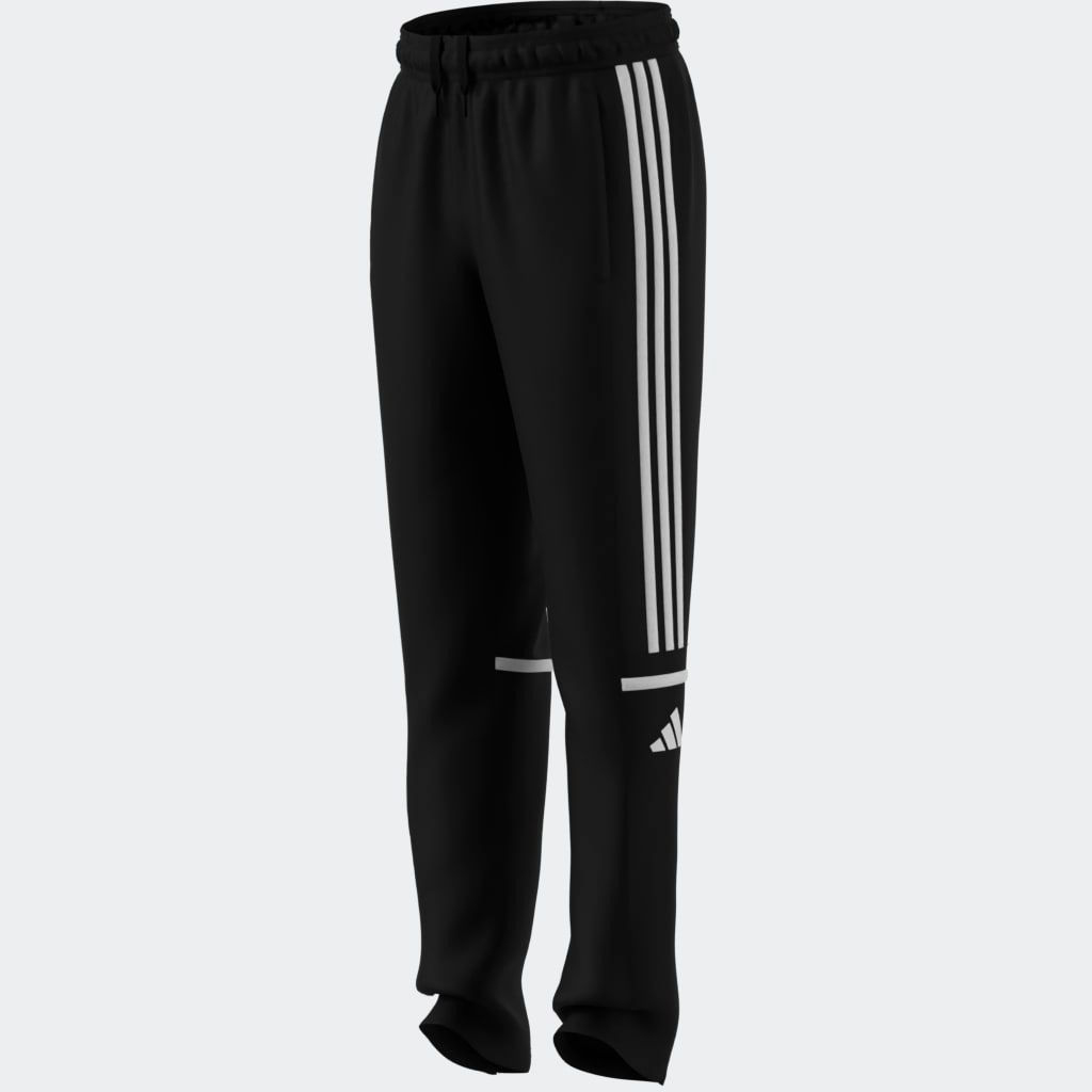 adidas Performance Pantalon de survêtement »SQ25 TR PNT Y«