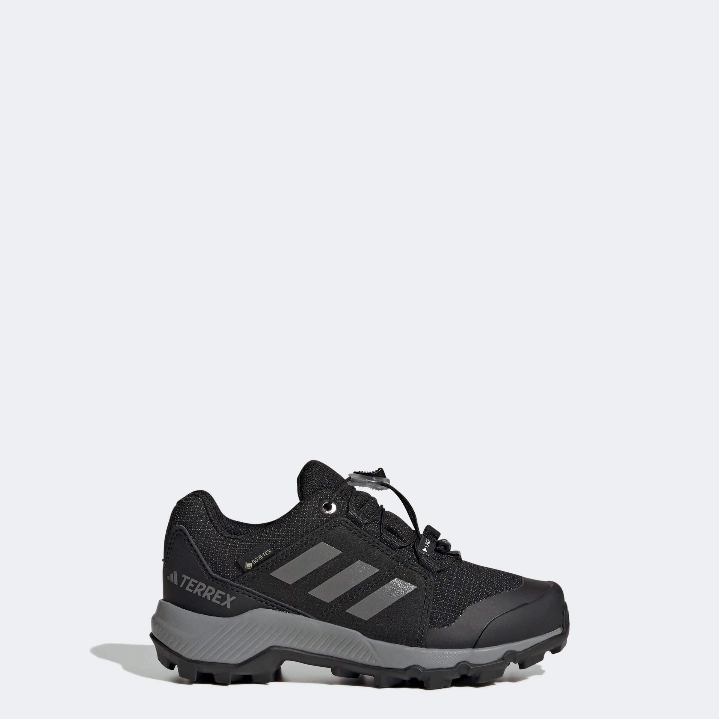 adidas TERREX Wanderschuh »TERREX GORE-TEX«, wasserdicht