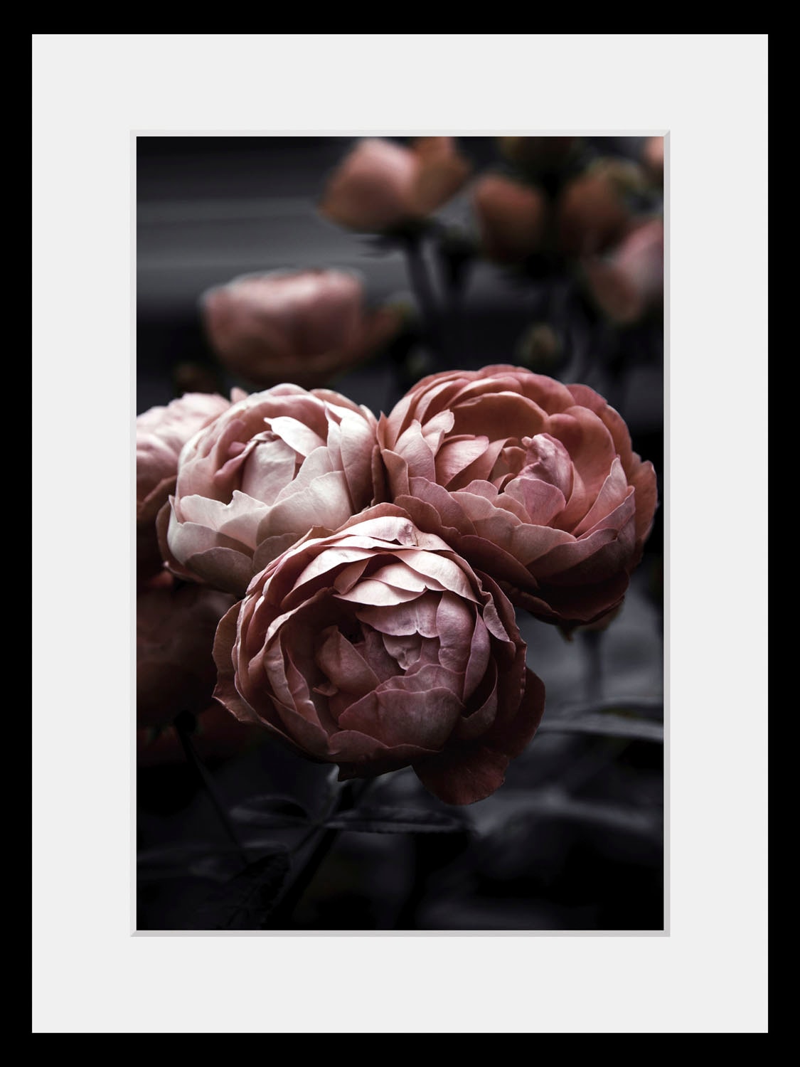 queence Bild »Helen« Blumen | Foto | Pflanzen | Pflanzenbilder 1 Stk. tlg. HD Premium Poster-Druck inkl. Holzrahmen