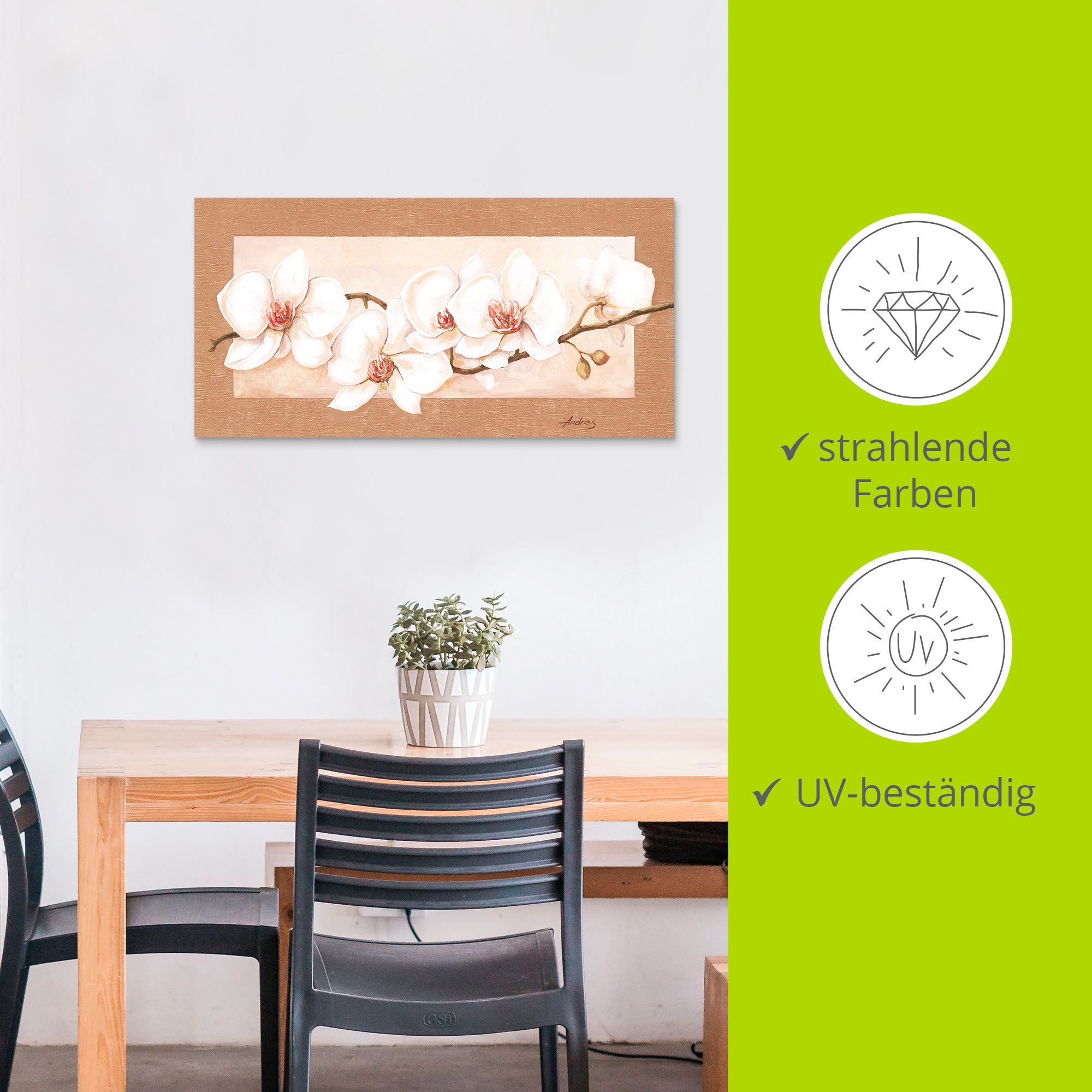 Artland Wandbild »Orchideenzweig« Blumenbilder 1 Stk. tlg. als Alubild, Leinwandbild in verschied. Grössen
