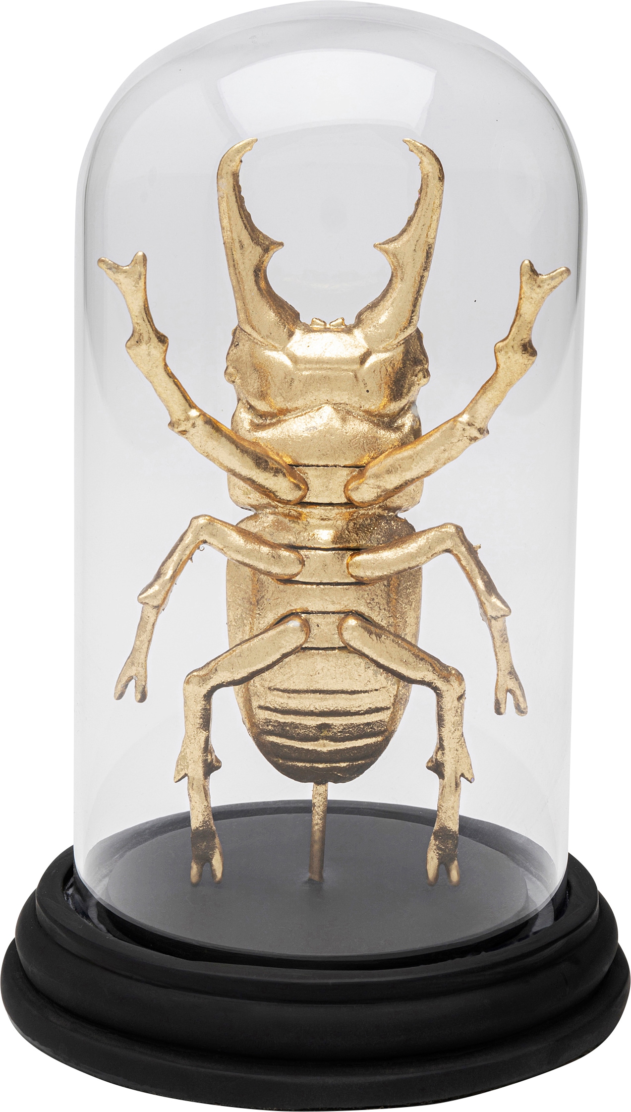 Kare Design Objet décoratif »Hercules Beetle 20cm«