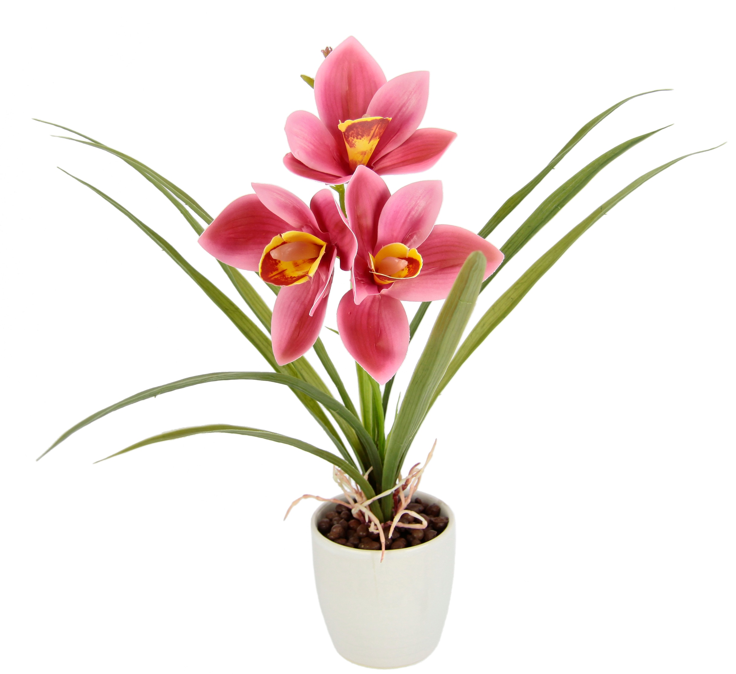 I.GE.A. Kunstblume »Orchidee«, Mit Blätter im Topf aus Keramik Künstliche  Blume Cymbidium-Orchidee bequem kaufen