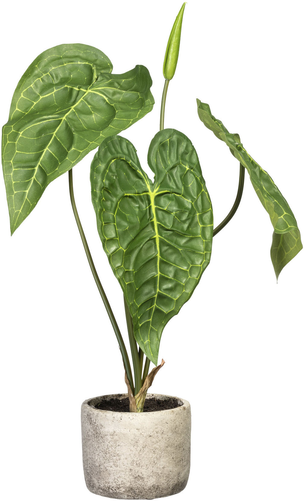 bequem Creativ »Anthurium«, green kaufen Zimmerpflanze im Melamintopf Künstliche