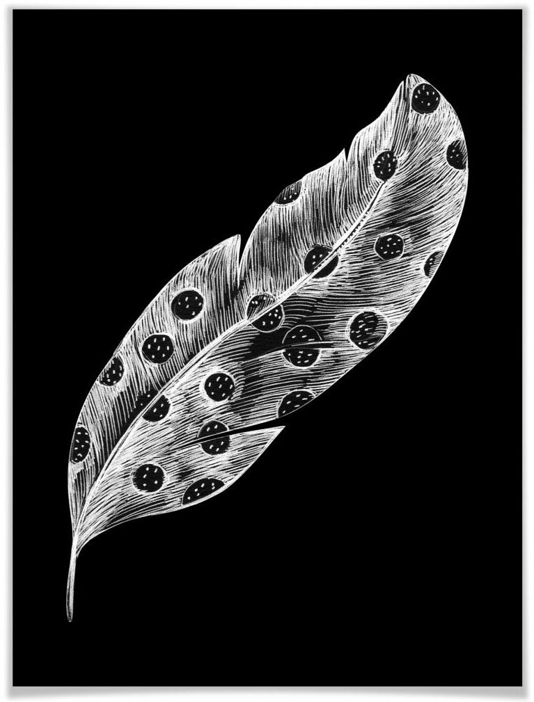 Image of Wall-Art Poster »Vogel Feder schwarz Punkte«, Tiere, (1 St.), Poster, Wandbild, Bild, Wandposter bei Ackermann Versand Schweiz