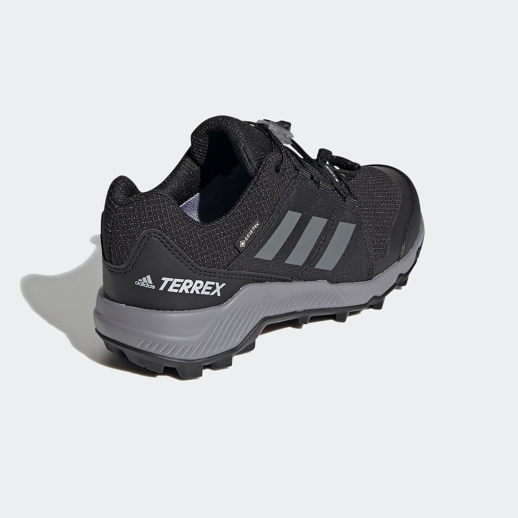 adidas TERREX Wanderschuh »GORE-TEX«