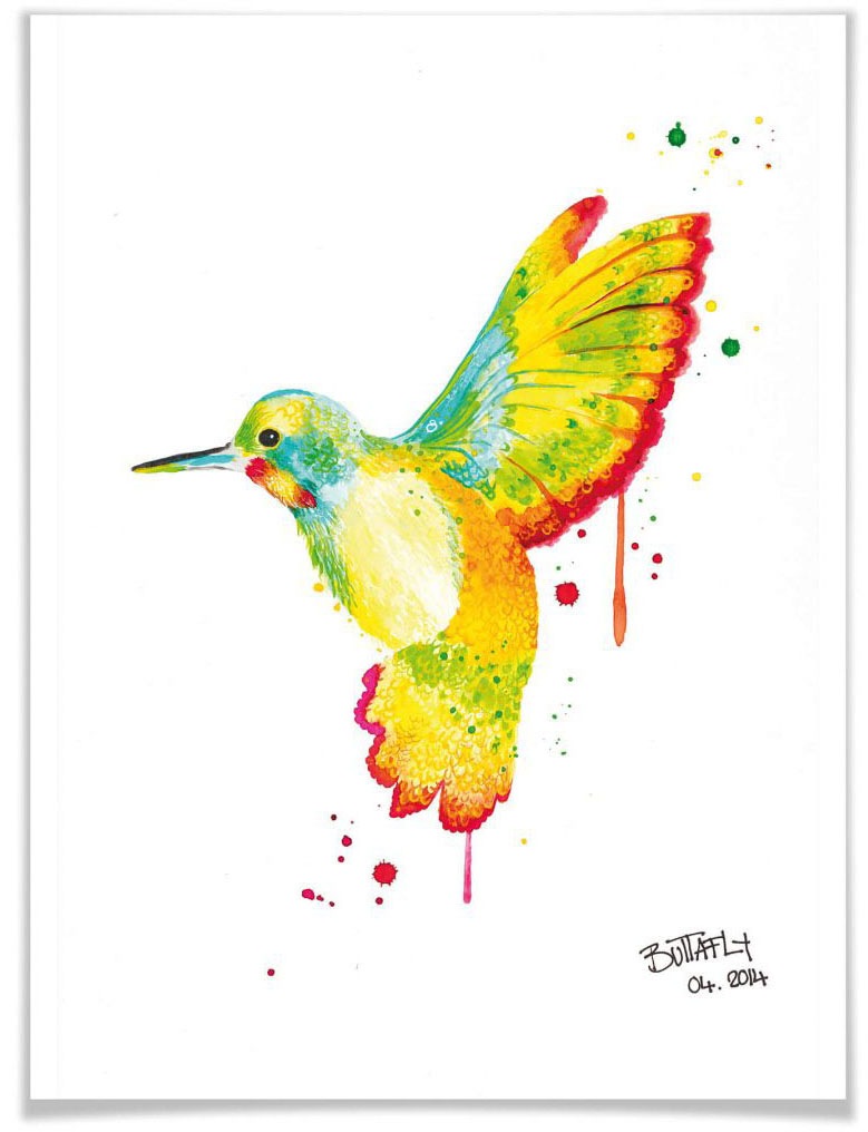 Image of Wall-Art Poster »Kolibri«, Vögel, (1 St.), Poster, Wandbild, Bild, Wandposter bei Ackermann Versand Schweiz