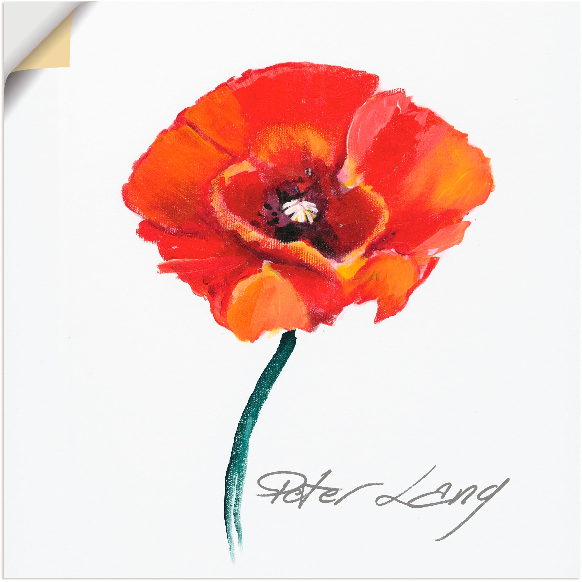 Image of Artland Wandbild »Blume_weiss III«, Blumen, (1 St.), in vielen Grössen & Produktarten - Alubild / Outdoorbild für den Aussenbereich, Leinwandbild, Poster, Wandaufkleber / Wandtattoo auch für Badezimmer geeignet bei Ackermann Versand Schweiz