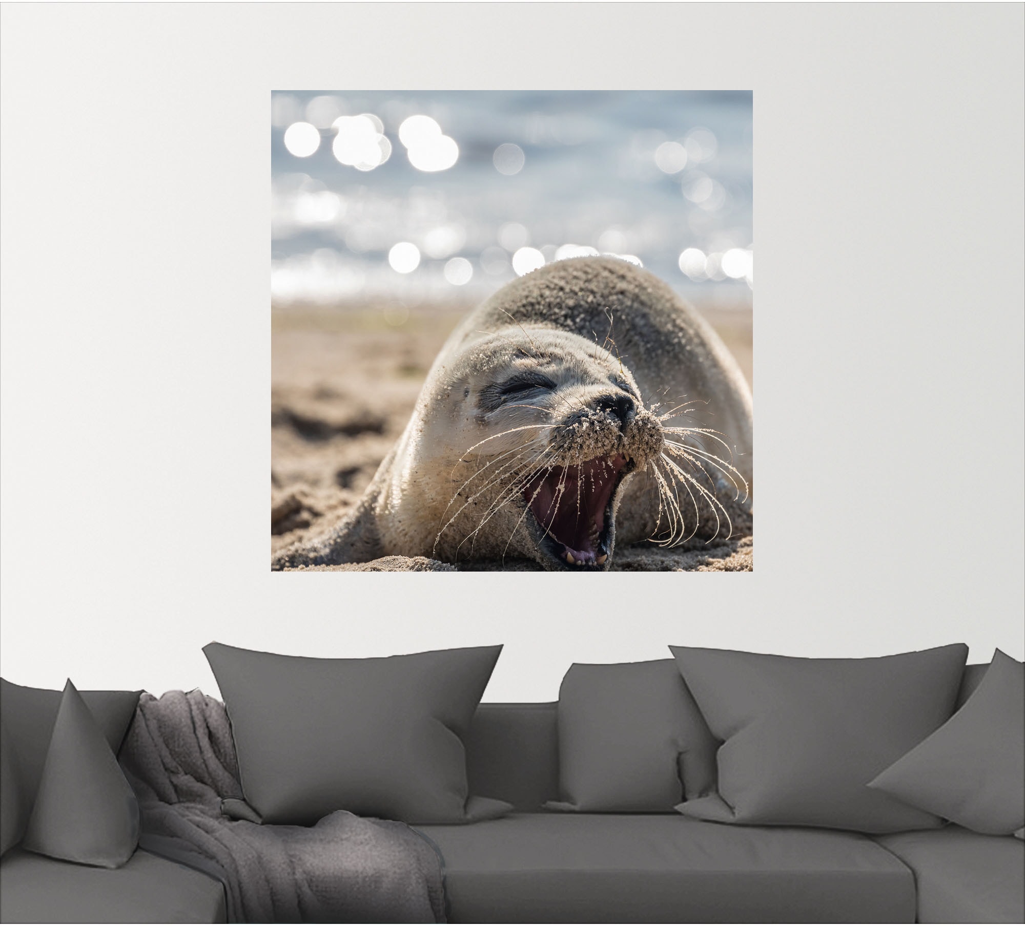 Artland Wandbild »Baby-Robbe am Strand von List, Sylt«, Robben, (1 St.), als Poster, Wandaufkleber in verschied. Grössen
