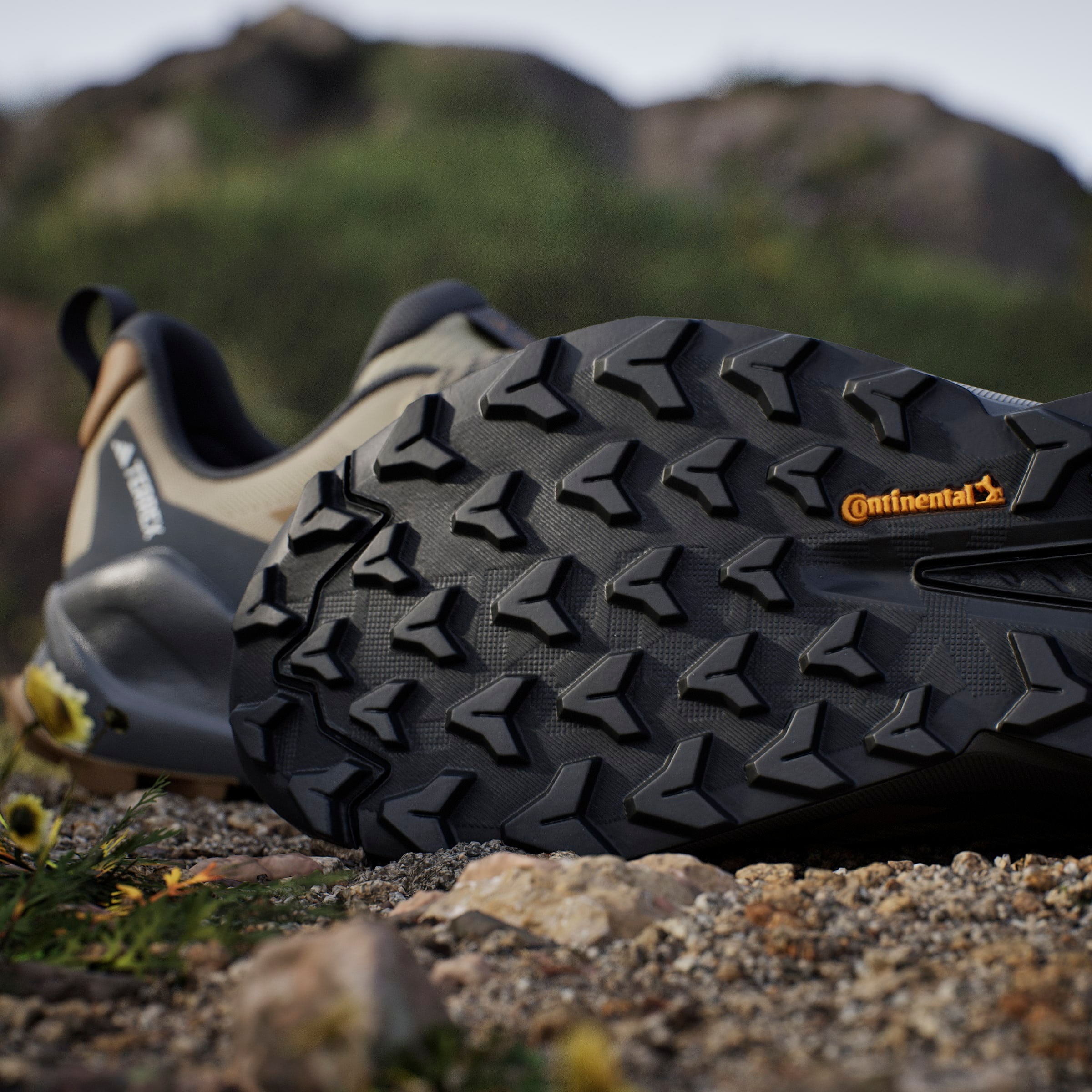 adidas TERREX Chaussure de randonnée »TRAILMAKER 2«