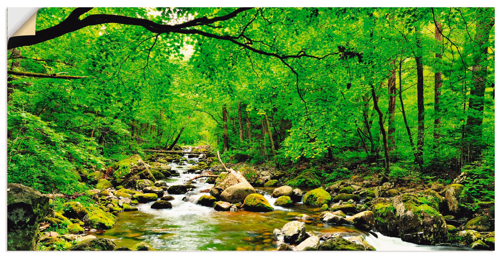Artland Wandbild »Herbstwald Fluss Smolny«, Wald, (1 St.), als Alubild,  Leinwandbild, Wandaufkleber oder Poster in versch. Grössen kaufen