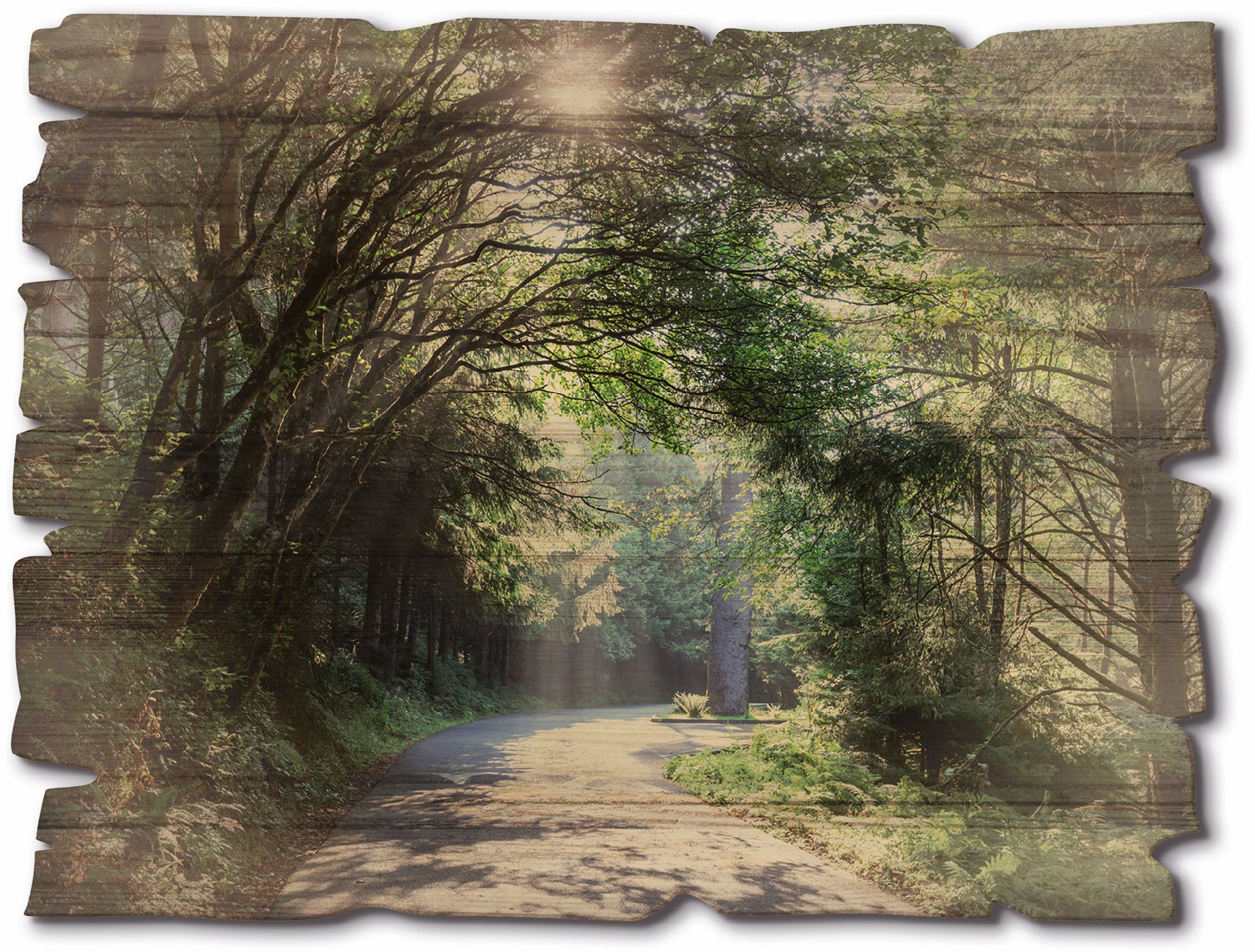 Image of Artland Holzbild "Sonniger Wald" Baumbilder 1 Stk. tlg.
