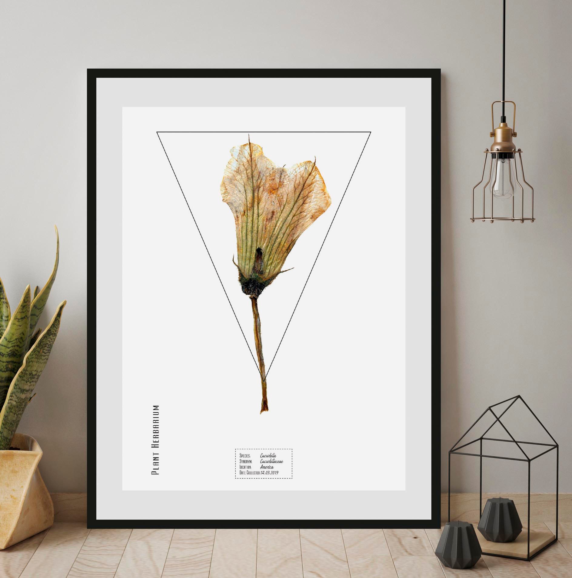 Image of queence Bild "Cucurbita" Pflanzen Pflanzenbilder Schriftzug 1 Stk. tlg. HD Premium Poster-Druck inkl. Holzrahmen