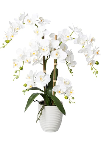 Kunstorchidee »Deko-Orchidee Phalaenopsis im Keramiktopf«