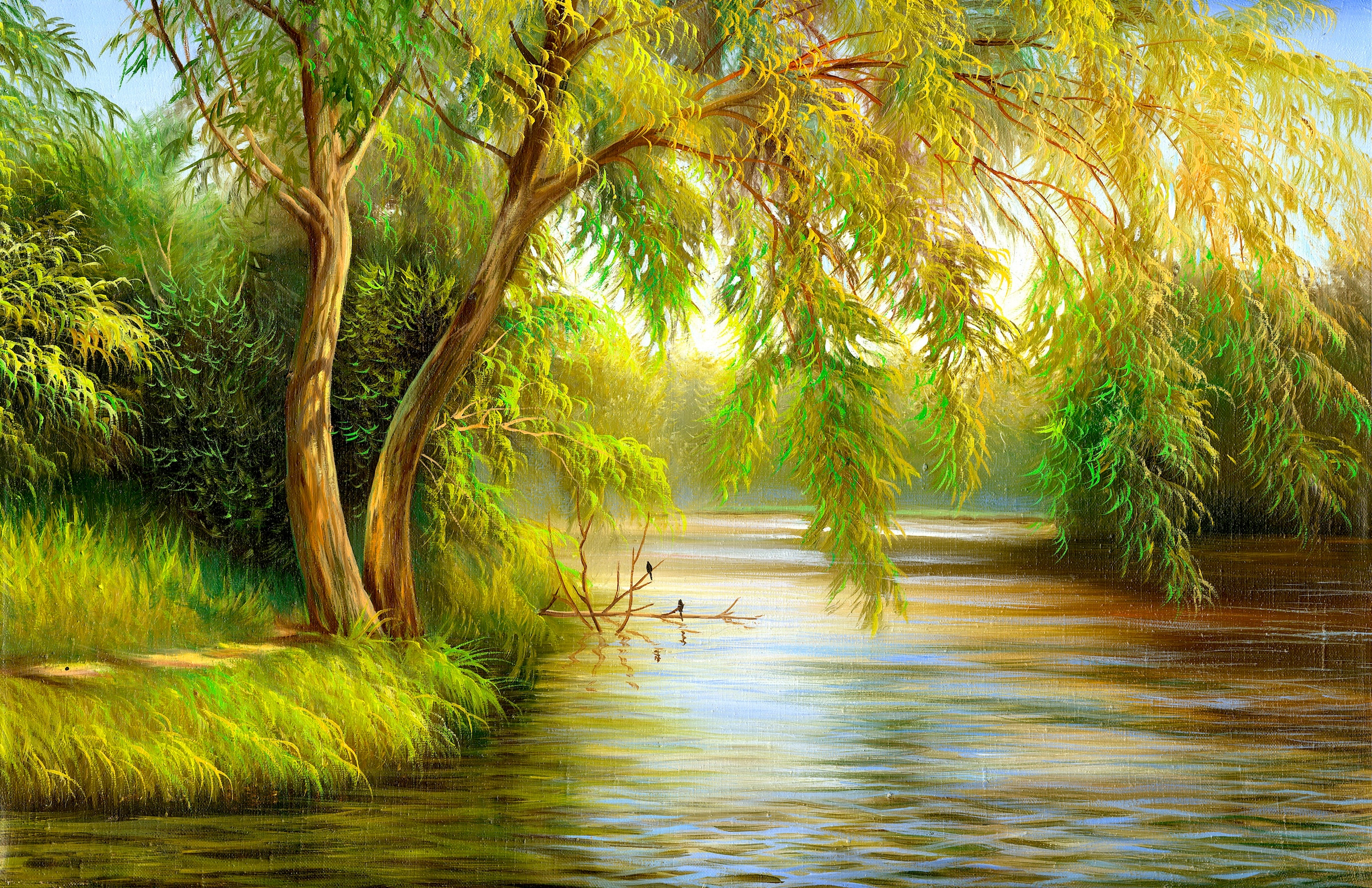 Image of Papermoon Fototapete "Summer Wood Lake" glatt