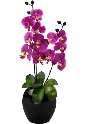 Kunstpflanze »Phalaenopsis in Vase«