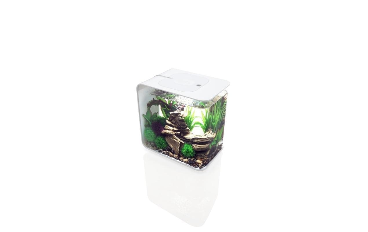 OASE Aquarium »biOrb FLOW 30 LED We«