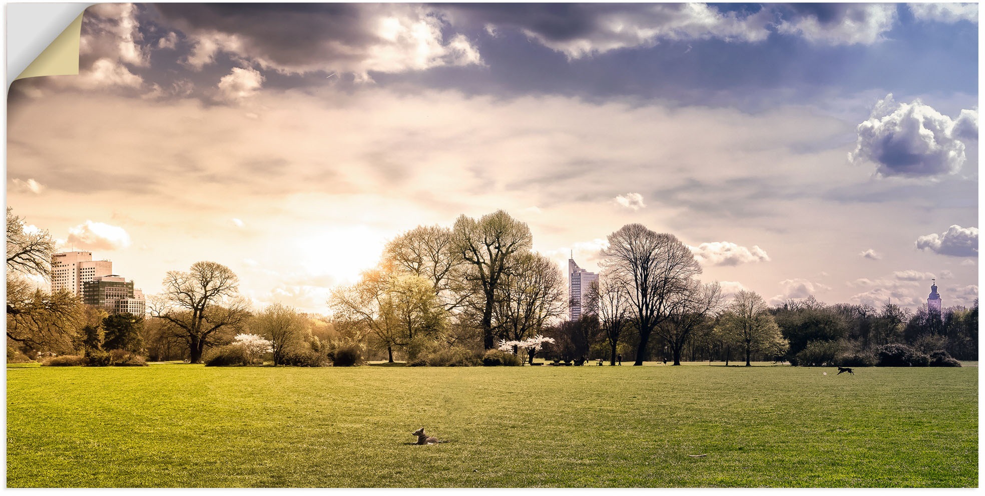 Image of Artland Wandbild »Rosentalwiese Leipzig mit Hund & Skyline«, Wiesen & Baumbilder, (1 St.), in vielen Grössen & Produktarten - Alubild / Outdoorbild für den Aussenbereich, Leinwandbild, Poster, Wandaufkleber / Wandtattoo auch für Badezimmer geeignet bei Ac