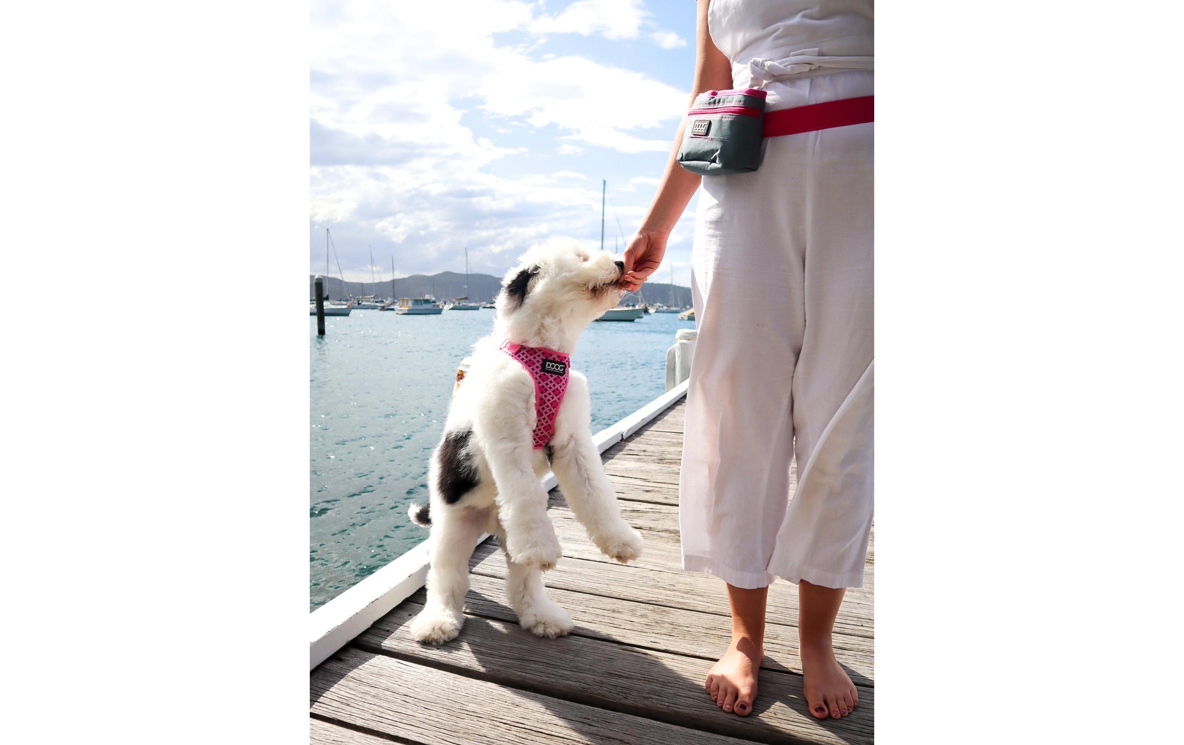 DOOG Hunde-Geschirr »Neoflex Toto L«