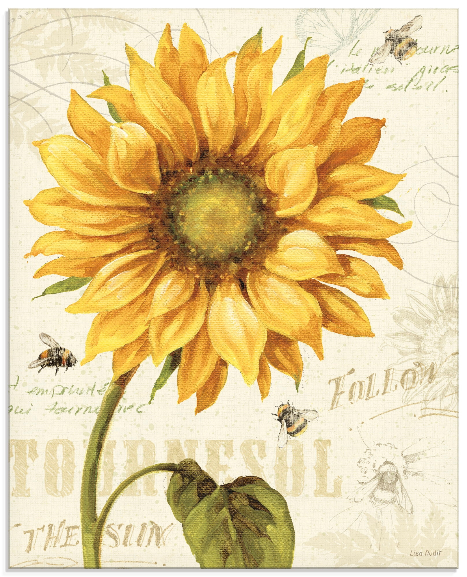 Image of Artland Glasbild "Under the Sun I" Blumenbilder 1 Stk. tlg. in verschiedenen Grössen