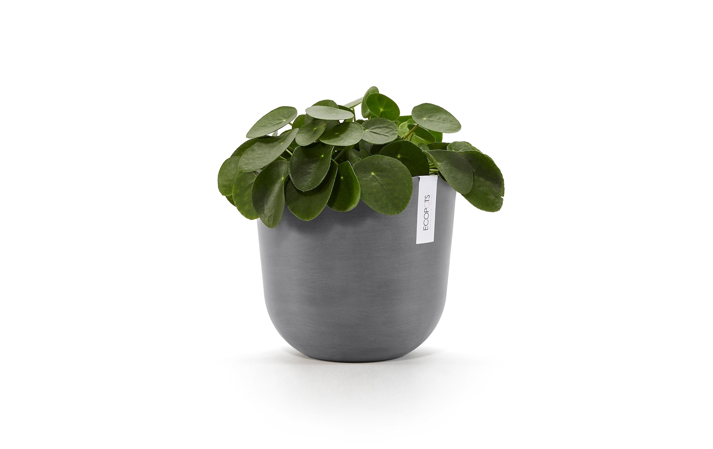 ECOPOTS Pot de fleurs »Oslo 25 Grau«