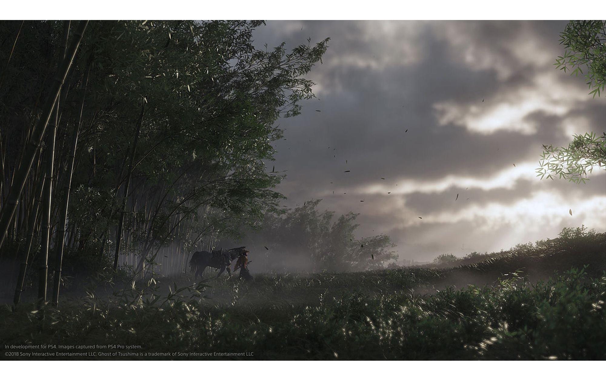 Spielesoftware »GAME Tsushima: Directors«, PlayStation 4