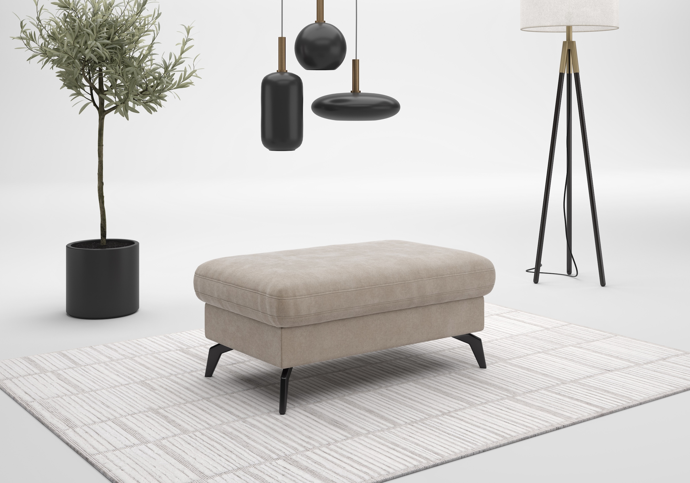 Image of sit&more Stauraumhocker "Morris Jubi" mit praktischen Stauraum